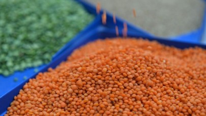 Hindistan ABD'den ithal edilen 28 ürüne ek gümrük vergisi getirdi