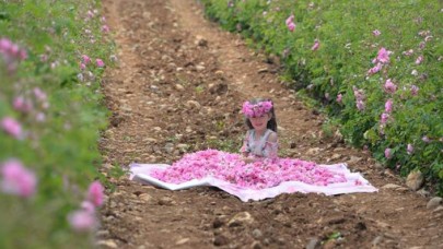 İlk gül yağı,  kilosu 9 bin Euro'dan satıldı