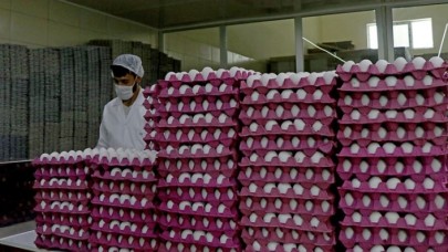 Irak'ın ithalatı durdurması yumurta fiyatını düşürdü