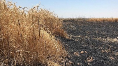 Irak'ta son bir ayda 40 bin dönüm tarım arazisi kül oldu