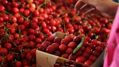 Kiraz ihracatında rekor gelebilir
