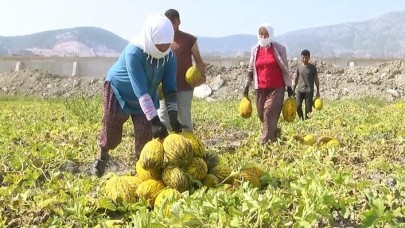 Kırkağaç kavununa "tescil" denetimi