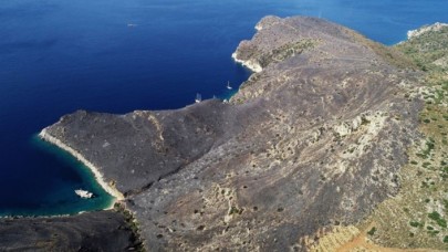 Muğla'daki yangında 5 hektar alan zarar gördü