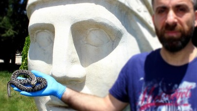 Nesli tehlikede olan yılan Nemrut Dağı’nda görüldü