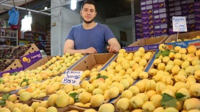 ‘Sarı altın’ tezgaha indi