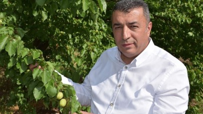 'Şu an tüketiciye sunulan kayısı Malatya kayısısı değil'