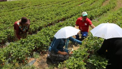 Tavsiye üzerine başladılar şimdi siparişlere yetişemiyorlar
