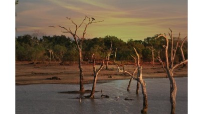 1 yılda 17 milyon insan 'iklim göçü'nden etkilendi