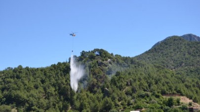Adana'da orman yangını