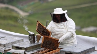 Anzer balının kilosu dudak uçuklatıyor!