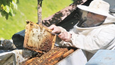 Anzer balının kilosu dudak uçuklatıyor