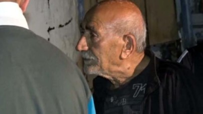 Bahçesinde baktığı kedilerin sesine uyanınca...