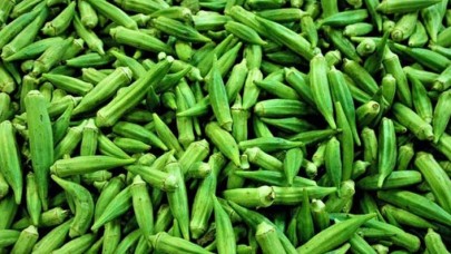 Bamyanın kilogram fiyatı cep yakıyor