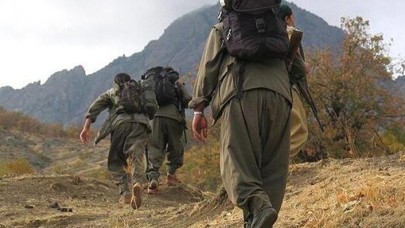 Bitlis'te 3 terörist etkisiz hale getirildi