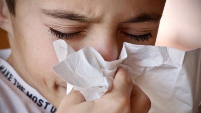 Çocuklarda yaz hastalıkları