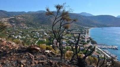 Datça'daki yangın,  elektrik kablolarından çıkmış