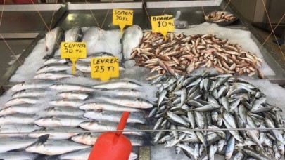 Deniz suyundaki ani soğuma balıkçının yüzünü güldürdü