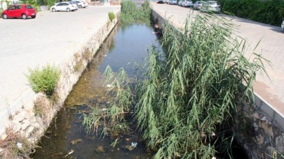 Dereden gelen kötü koku vatandaşların tepkisine neden oldu