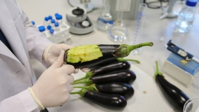 Deri hastalıklarına 'patlıcanlı' çözüm