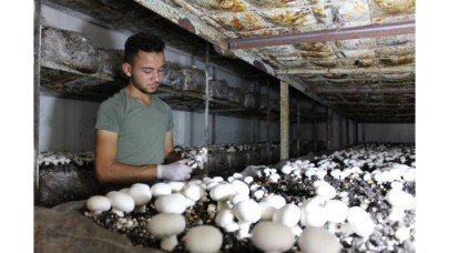 Devraldığı tesiste,  mantar üretimini 4 kat artırdı