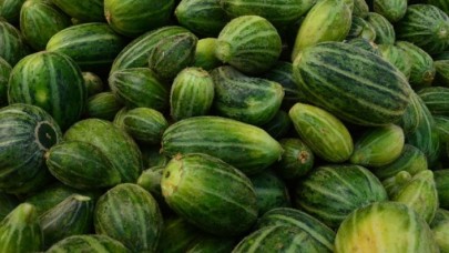 Dışı karpuza içi kavuna tadı salatalığa benziyor