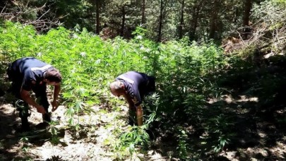 'Drone' destekli uyuşturucu operasyonu