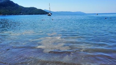 'Dünyaca ünlü koya sintine atığı boşaltıldı' iddiası