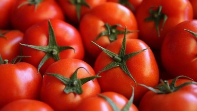 En çok domates üretildi