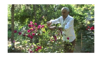 Evinin bahçesinde 27 çeşit gül yetiştiriyor