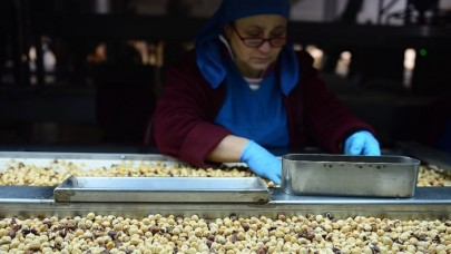 FİSKOBİRLİK,  piyasanın üzerindeki fiyattan alım yapacak