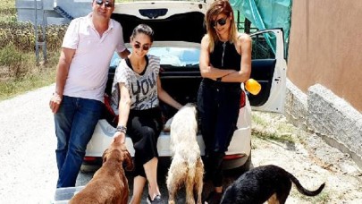 Gönüllü Pati Dostları,  mama desteği bekliyor