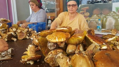 Günde 7 bin TL kazanan var... Toplayıp,  satıp,  bina yapıyorlar