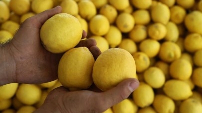 Haziran ayının zam şampiyonu limon
