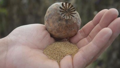 'Hüseyinbey' ve 'Çelikoğlu' Denizli'ye uyum sağladı