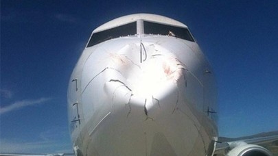 İstanbul Havalimanına inen THY uçağı kuş sürüsüne daldı... Uçak seferden çekildi!