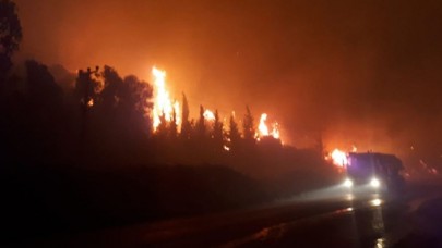 İzmir'de otluk alanda çıkan yangında 2 otel tahliye edildi
