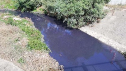 Kavak Deresi'ne kimyasal karıştı