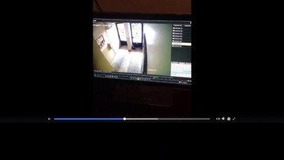 Kediyi kapıya sıkıştırarak öldüren kadınlar gündemde