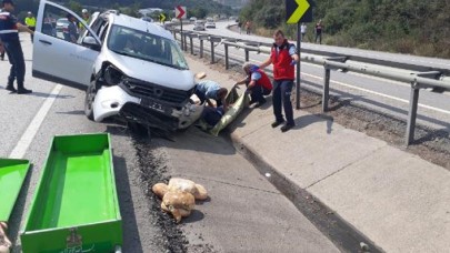 Köy ekmeği satmaya giderken kazada hayatını kaybetti