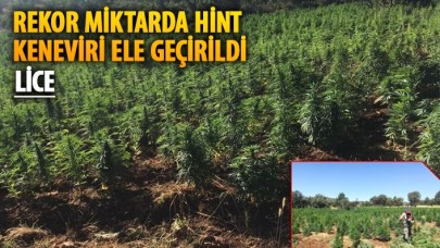 Lice'de operasyon: Rekor miktarda Hint keneviri ele geçirildi