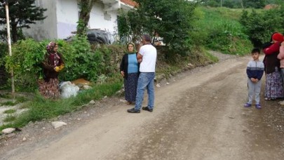 Ordu'da yılan istilası! Boyları 2 metre