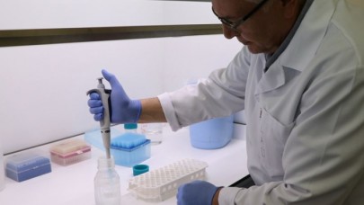Patatesin DNA'sı incelenerek hastalıklara dayanıklı çeşitler geliştiriliyor