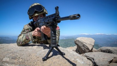 Siirt'te 2 PKK'lı terörist etkisiz hale getirildi