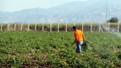 Tarımda uzmanlığa hibe desteği