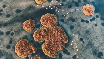 Tarkan,  Gediz Deltası için destek istedi