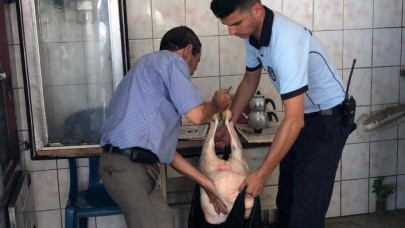 Tarsus'ta 113 kilo kaçak et ele geçirildi: Mezbahane mührünü patatesle taklit etmişler