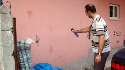 Mahalleyi istila ettiler! 'Yardım istiyoruz,  milyonlarca böcek var'