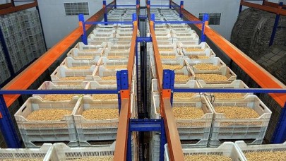 Türkiye'den 4 milyar dolarlık hububat ihracatı