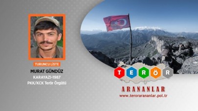 Turuncu kategorideki terörist etkisiz hale getirildi