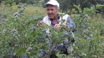 2012'de yapmıştı! Şimdi dönümünden 80 bin TL kazanıyor